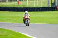 Session 4 Race Fast Very Fast